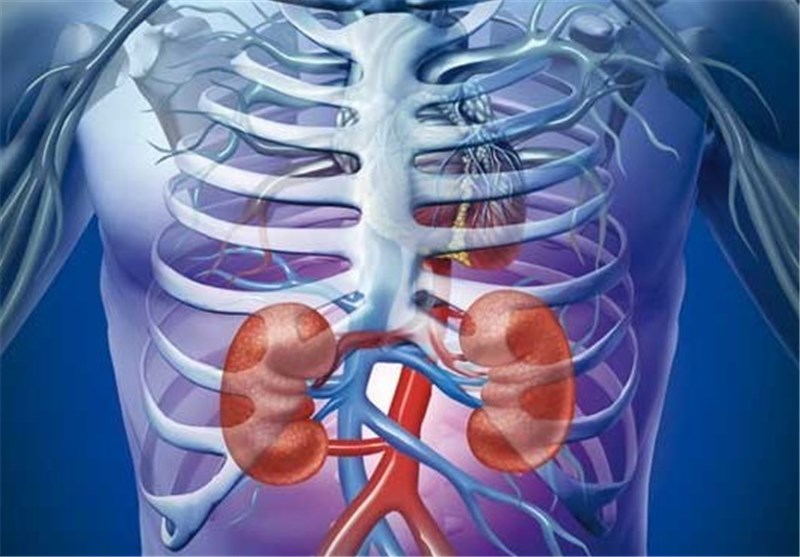 New Strategy May Help Prevent Kidney Failure in Patients with Diabetes
