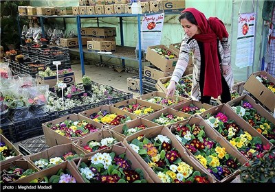 Flower Market Blooms in Tehran ahead of New Year Celebrations