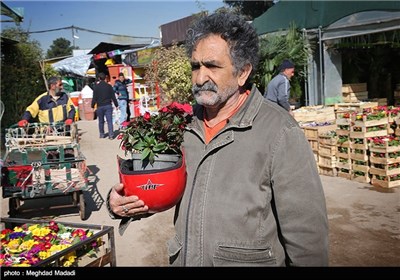 Flower Market Blooms in Tehran ahead of New Year Celebrations