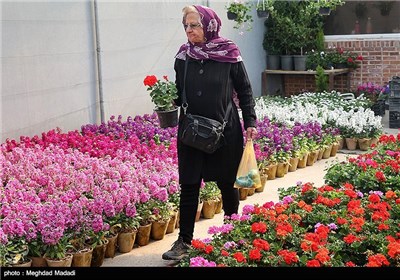 Flower Market Blooms in Tehran ahead of New Year Celebrations