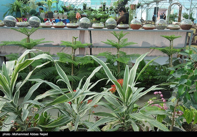فعالیت 101 غرفه در نمایشگاه بین‌المللی گل شهرستان محلات
