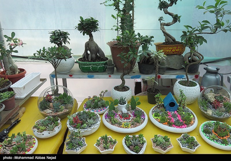 نمایشگاه بزرگ گل و گیاه مازندران گشایش یافت