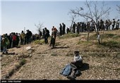 600 هکتار از اراضی روستایی مازندران نهال کاری می‌شود