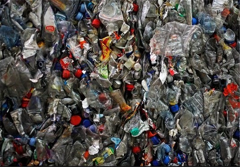 باکتری‌های پلاستیک‌خور به معضل آلودگی محیط زیست کمک می‌کنند