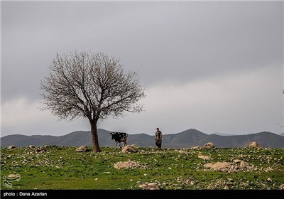 Iran’s Beauties in Photos: Spring Nature in Marivan