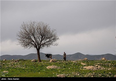 طبیعت بهاری مریوان