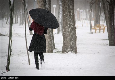 آیین &#171; نو اوستی&#187; در اردبیل