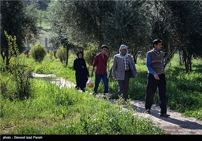 مجموعه تفریحی، تاریخی چشمه بلقیس توران در یاسوج