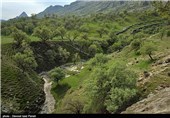 طبیعت بهاری گچساران در کهگیلویه و بویر احمد