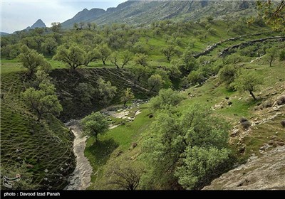 طبیعت بهاری گچساران در کهگیلویه و بویر احمد