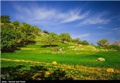 طبیعت بهاری گچساران در کهگیلویه و بویر احمد