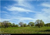 طبیعت بهاری گچساران در کهگیلویه و بویر احمد