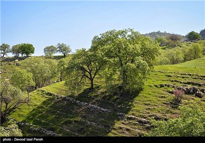 طبیعت بهاری گچساران در کهگیلویه و بویر احمد