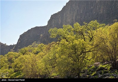 طبیعت بهاری گچساران در کهگیلویه و بویر احمد