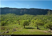 طبیعت بهاری گچساران در کهگیلویه و بویر احمد