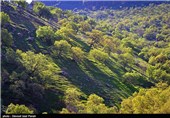 طبیعت بهاری گچساران در کهگیلویه و بویر احمد