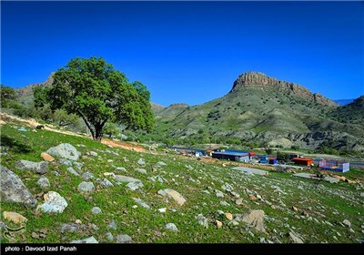 طبیعت بهاری گچساران در کهگیلویه و بویر احمد