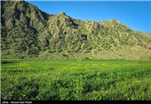 طبیعت بهاری گچساران در کهگیلویه و بویر احمد