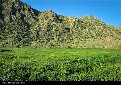 طبیعت بهاری گچساران در کهگیلویه و بویر احمد