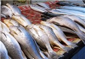 600 تن ماهی در شهرستان نیر تولید می‌شود