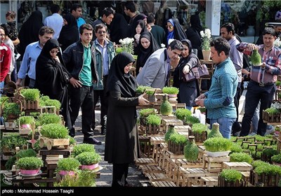 سوق الزهور فی مشهد المقدسة