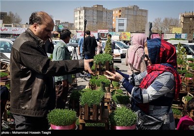 سوق الزهور فی مشهد المقدسة