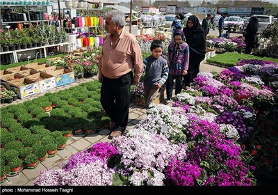 سوق الزهور فی مشهد المقدسة