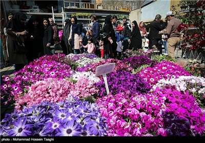 سوق الزهور فی مشهد المقدسة