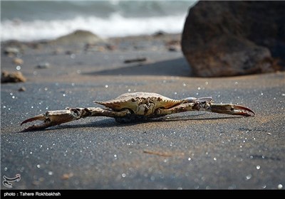 Persian Gulf Island of Hormuz in Southern Iran