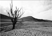 معضل خشکسالی اراضی کشاورزی شرق مازندران نیازمند چاره‌اندیشی/بیش از 800 هکتار از اراضی میاندرود دچار استرس آبی است