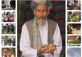 «نوروز در آیینه افغانستان» از دریچه دوربین تسنیم