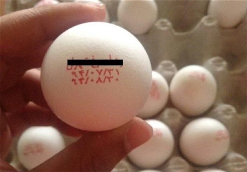 طرح تنظیم بازار تخم مرغ از امروز آغاز شد