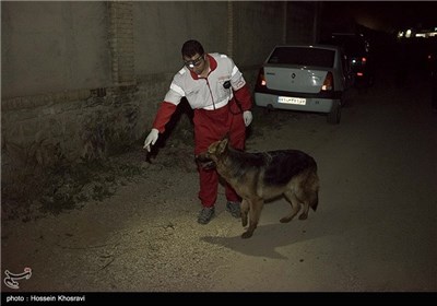 در حاشیه سقوط بالگرد اورژانس- فارس