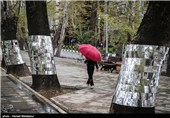 تهران بهاری در یک روز بارانی - پارک ملت