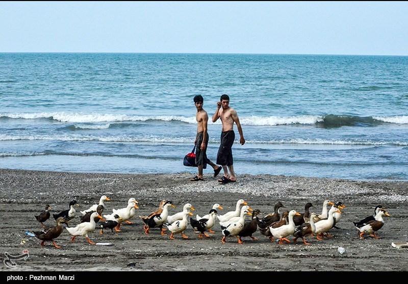 استان مازندران آماده میزبانی از گردشگران تابستانی/ بسیج امکانات ادارات برای خدمت‌رسانی بهتر