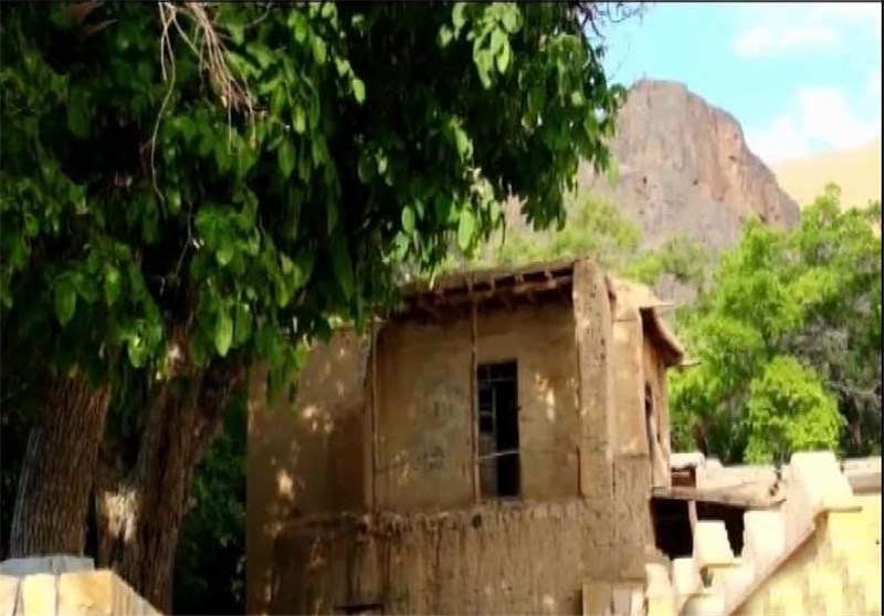 عطر خوش بهار در "انجدان"٬ ابیانه استان مرکزی