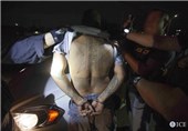 1100 مظنون به فعالیت‌های تبهکاری در آمریکا بازداشت شدند