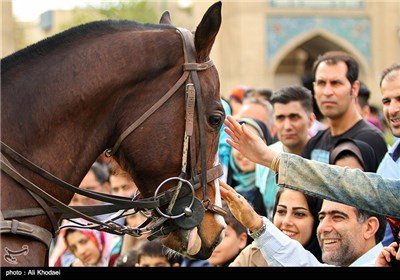 مسابقات نمادین چوگان در میدان نقش جهان اصفهان