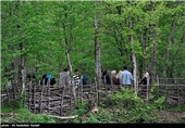 آماده باش دهیاران برای ارائه خدمات در روستاهای مازندران در روز طبیعت