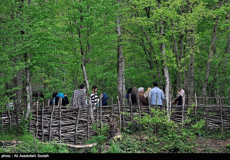 آماده باش دهیاران برای ارائه خدمات در روستاهای مازندران در روز طبیعت