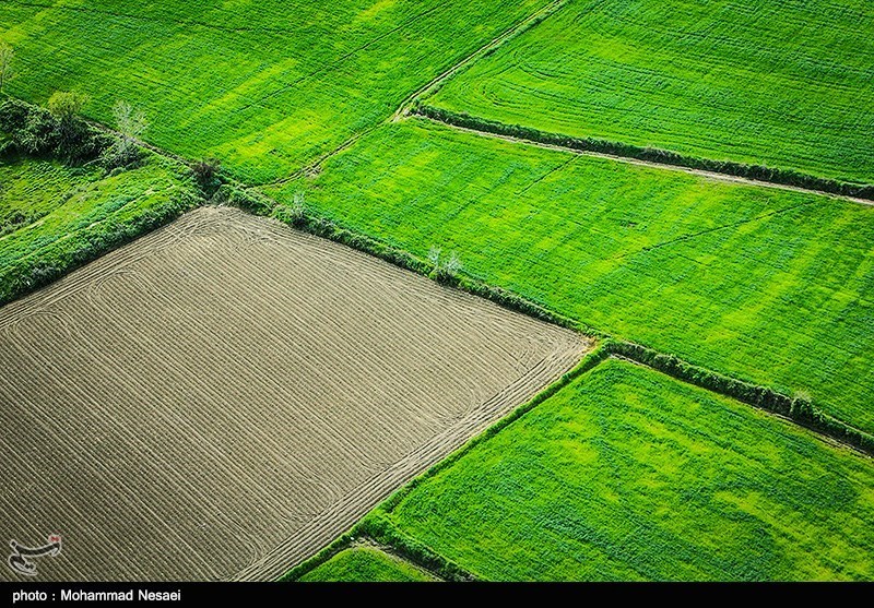 طبیعت بهاری گرگان