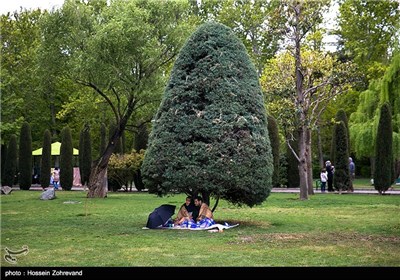 روز طبیعت در پارک لاله تهران