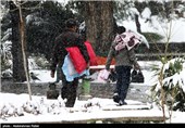 بارش برف در سیزدهمین روز بهار - همدان