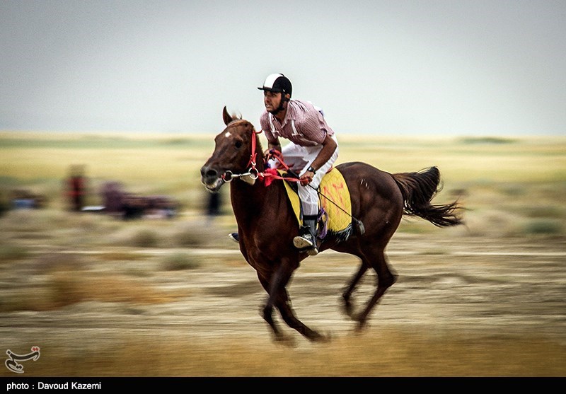 جشنواره منطقه‌ای اسب بومی و کرد در اردبیل برگزار می‌شود