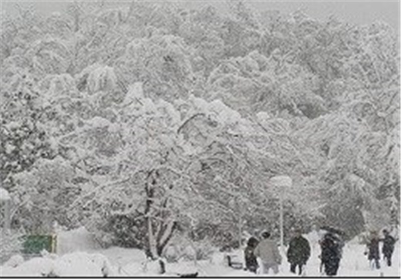 بارش 35 سانتیمتری برف در شهرستان نیر/اردبیل در شانزدهمین روز از فصل بهار رخت سفید بر تن کرد