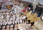 گذری بر صنایع دستی بوشهر/ ساخت انواع عروسک‌ها و موجودات با ‌صدف دریایی