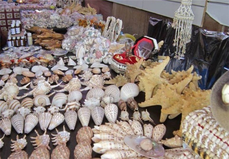 گذری بر صنایع دستی بوشهر/ ساخت انواع عروسک‌ها و موجودات با ‌صدف دریایی