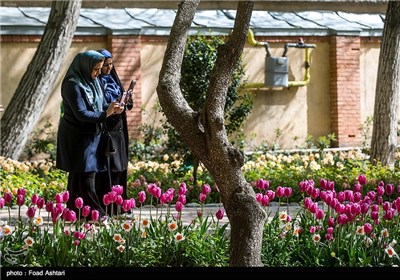 بوستان علی محمد مختاری در تهران