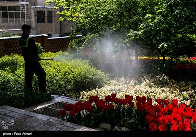 بوستان علی محمد مختاری در تهران