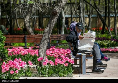 بوستان علی محمد مختاری در تهران